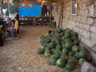 BASTA: In Between Red and Green